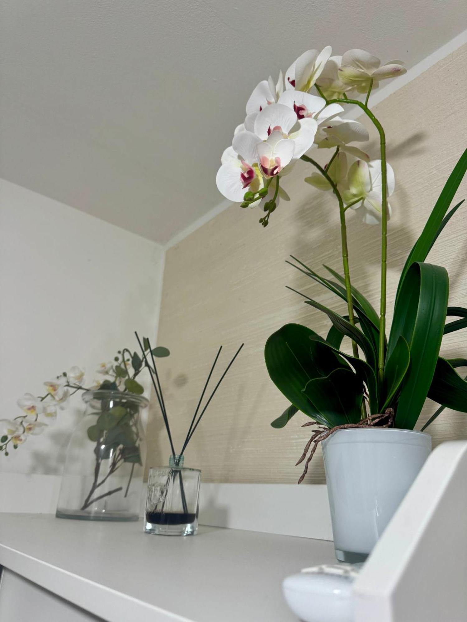 Casa Alessio - Elegante Appartamento Nel Cuore Di Cesano Maderno Ngoại thất bức ảnh